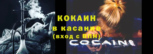 соль ск Алзамай